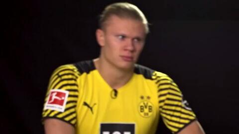 开拓者替补中锋投射出色，但防守和篮板表现令人堪忧